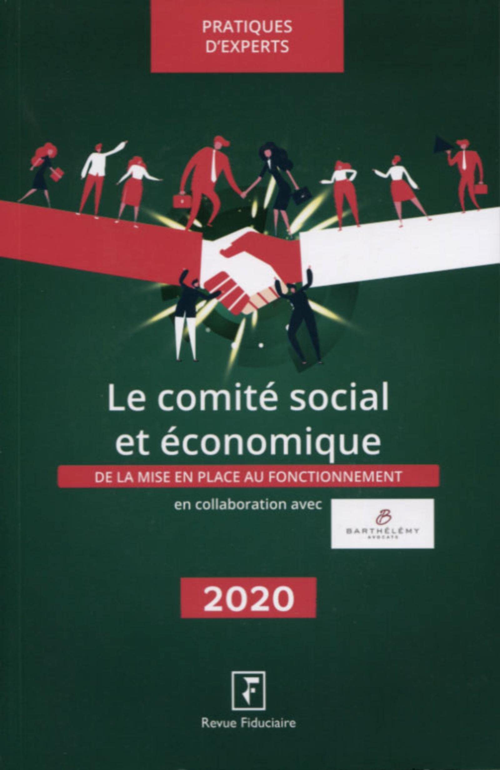 Le comité social et économique 2020: DE LA MISE EN PLACE AU FONCTIONNEMENT 9782757907139