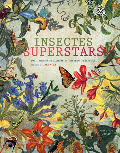Insectes superstars 9782330024338
