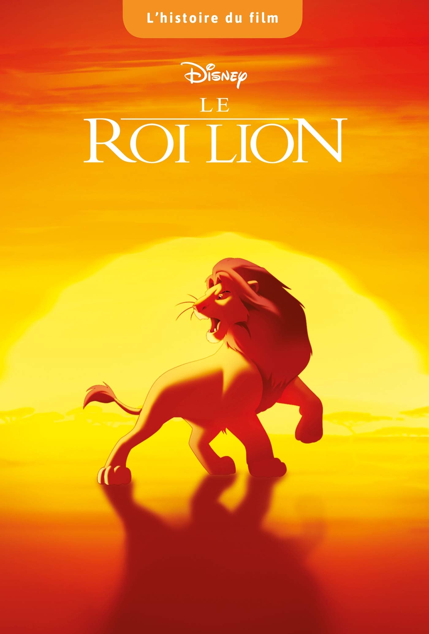 LE ROI LION - L'histoire du Film - Disney 9782017087922