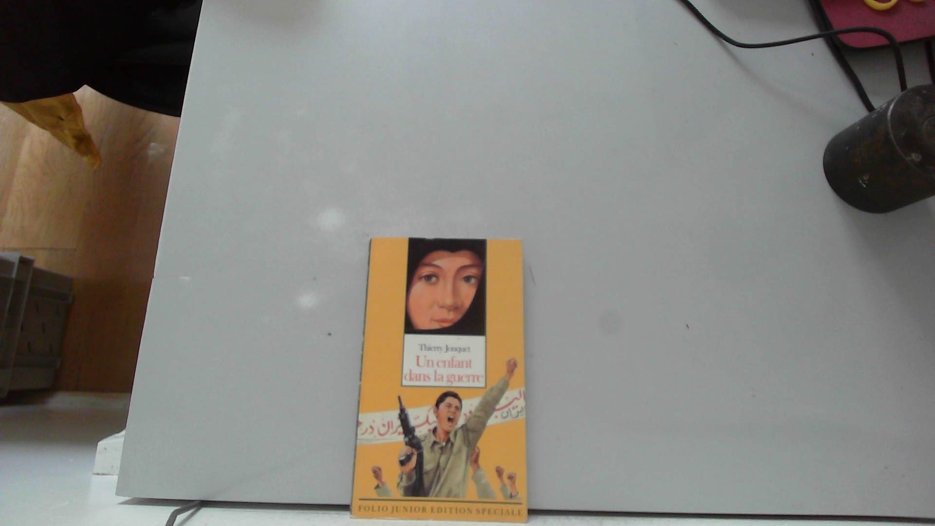 Enfant dans la guerre 9782070588367