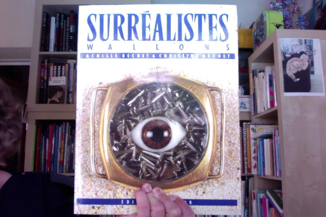 Surréalistes wallons 9782804002640