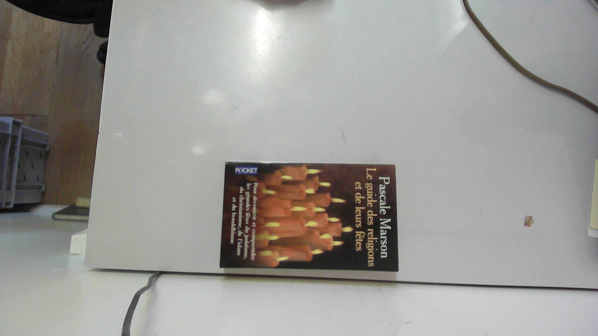 Le guide des religions et leurs fêtes 9782266104821