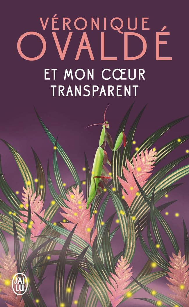 Et mon coeur transparent 9782290398470