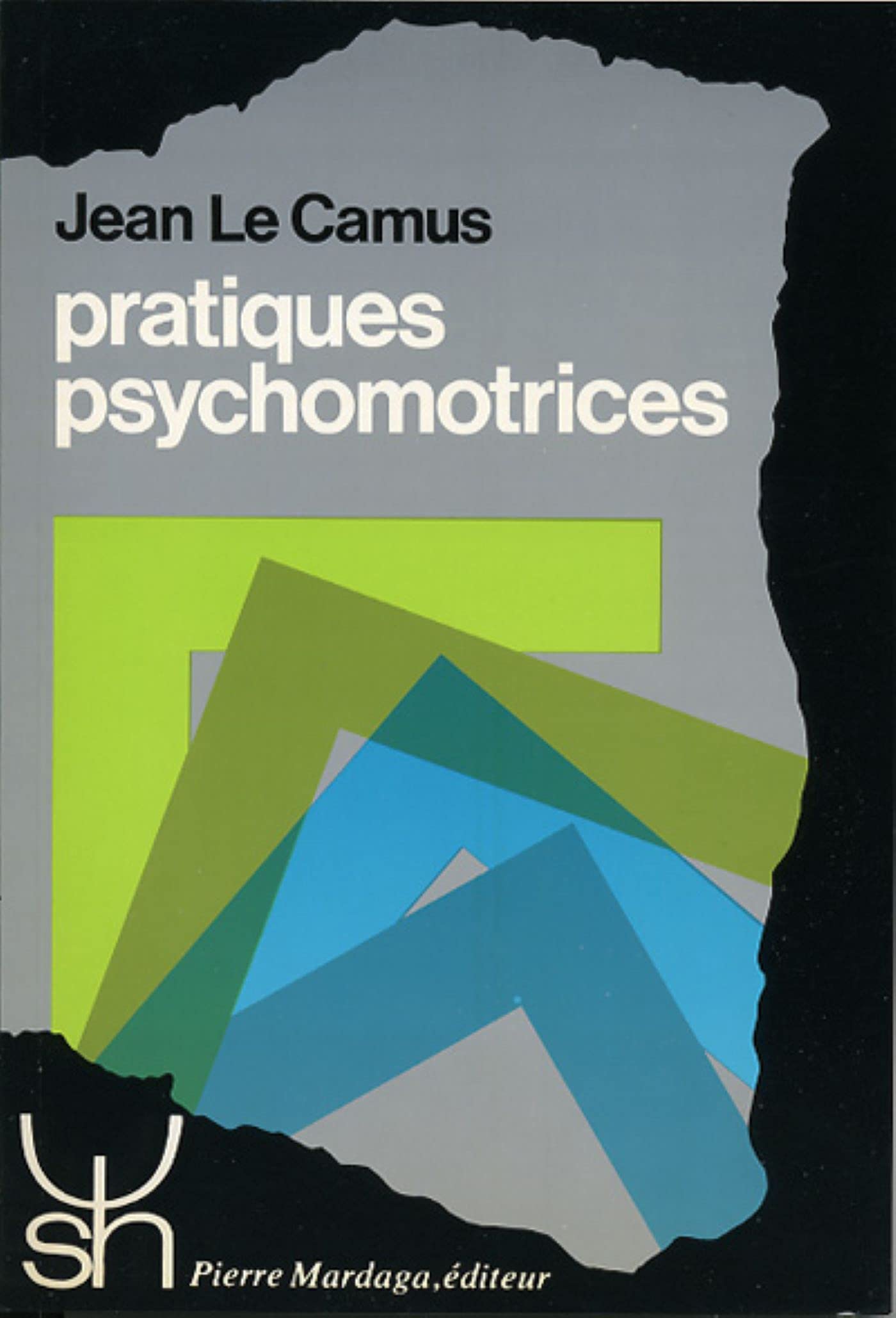 Pratiques psychomotrices: De la R. P. M. aux thérapies à médiation corporelle 9782870092002