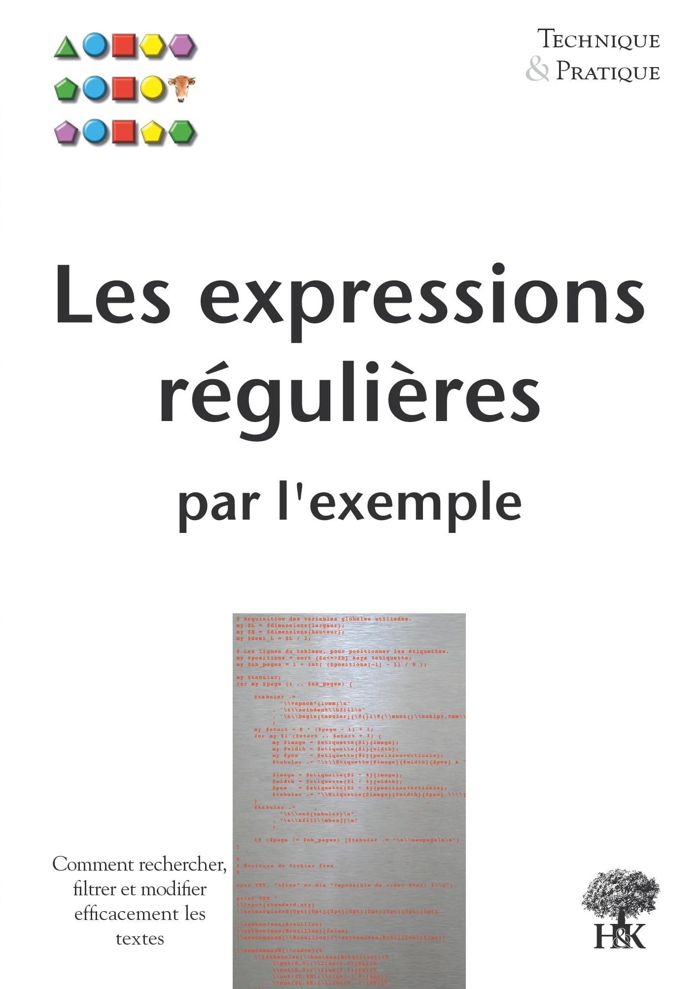 Les expressions régulières par l'exemple 9782914010658