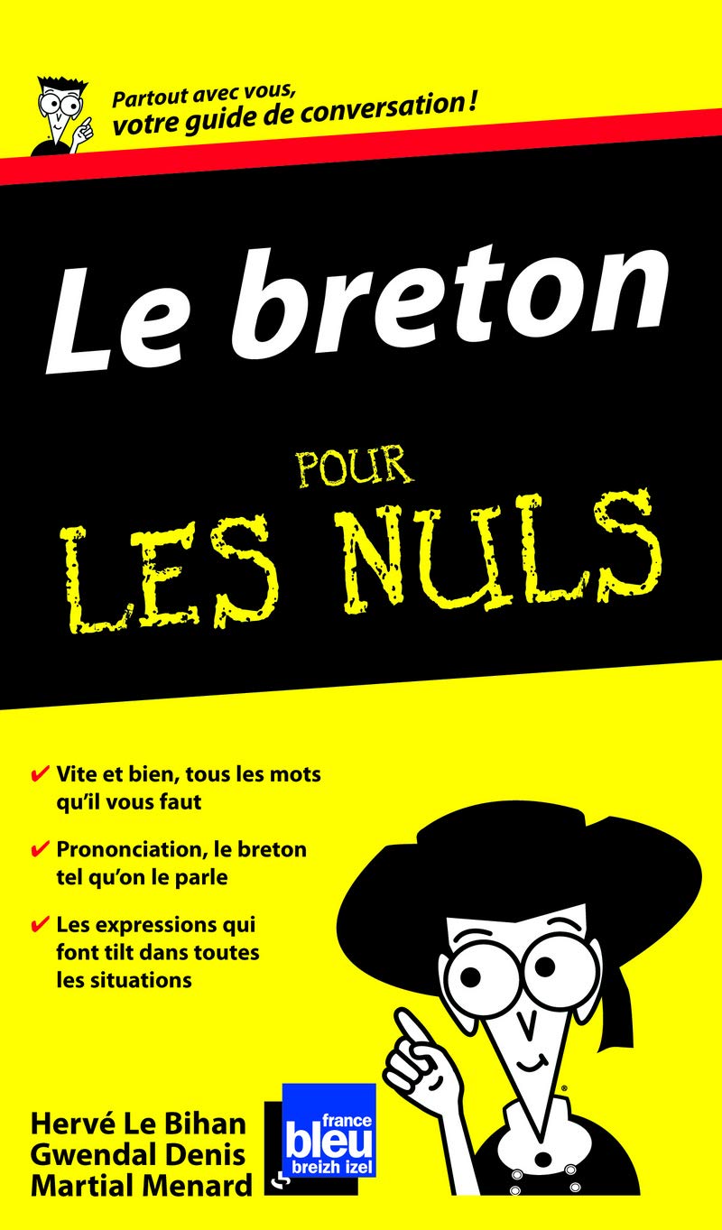 Le breton Guide de conversation Pour les nuls 9782754012409