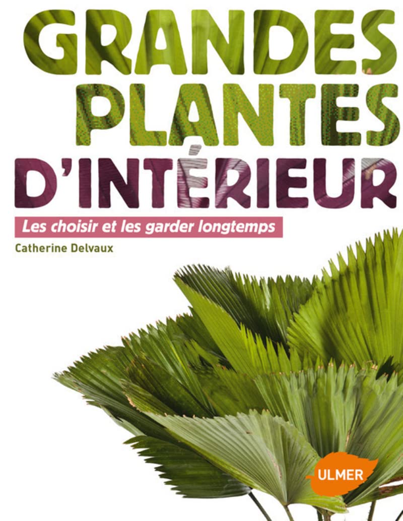 Grandes plantes d'intérieur - Les choisir et les garder longtemps 9782841384846