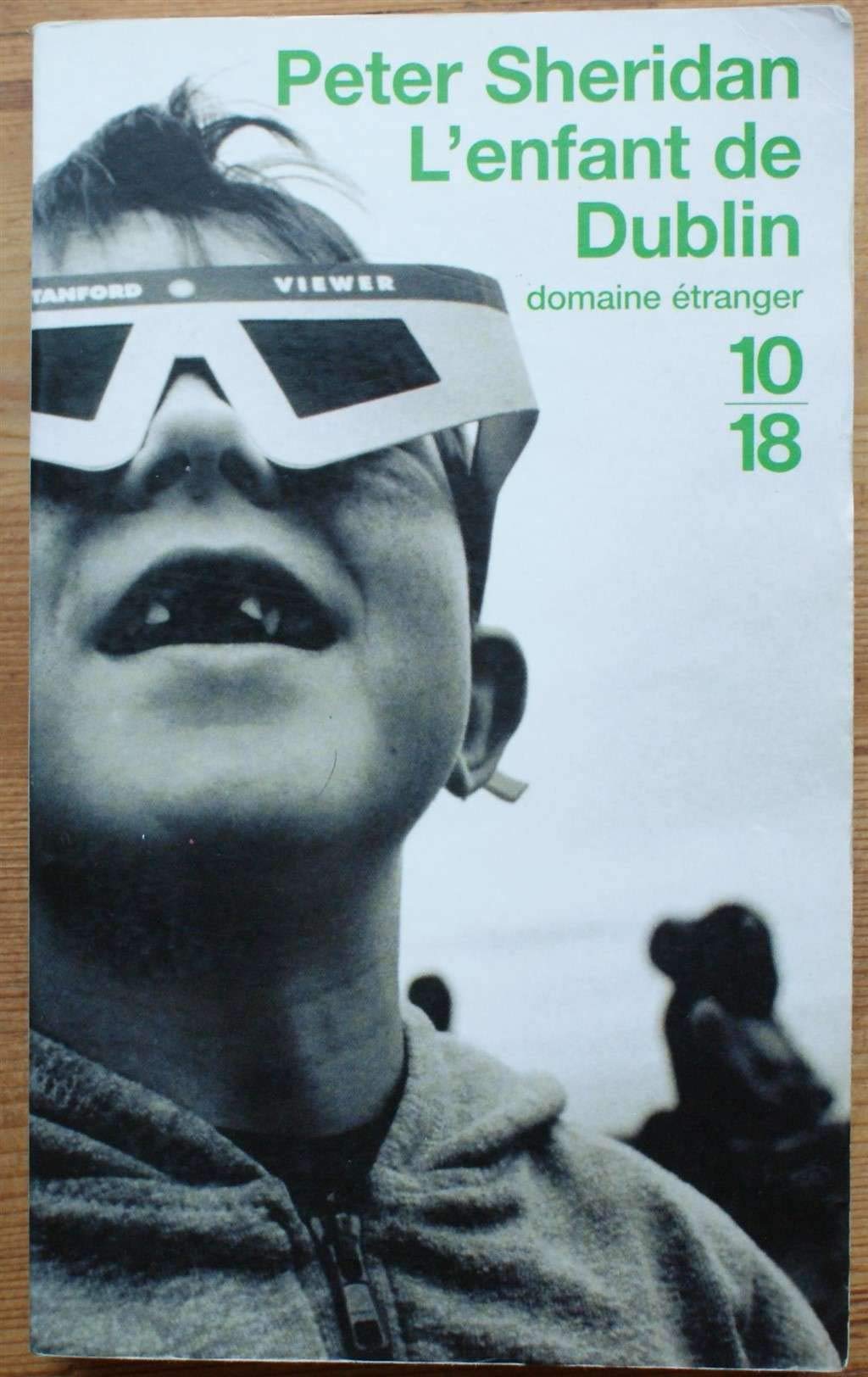 L'Enfant de Dublin 9782264031174