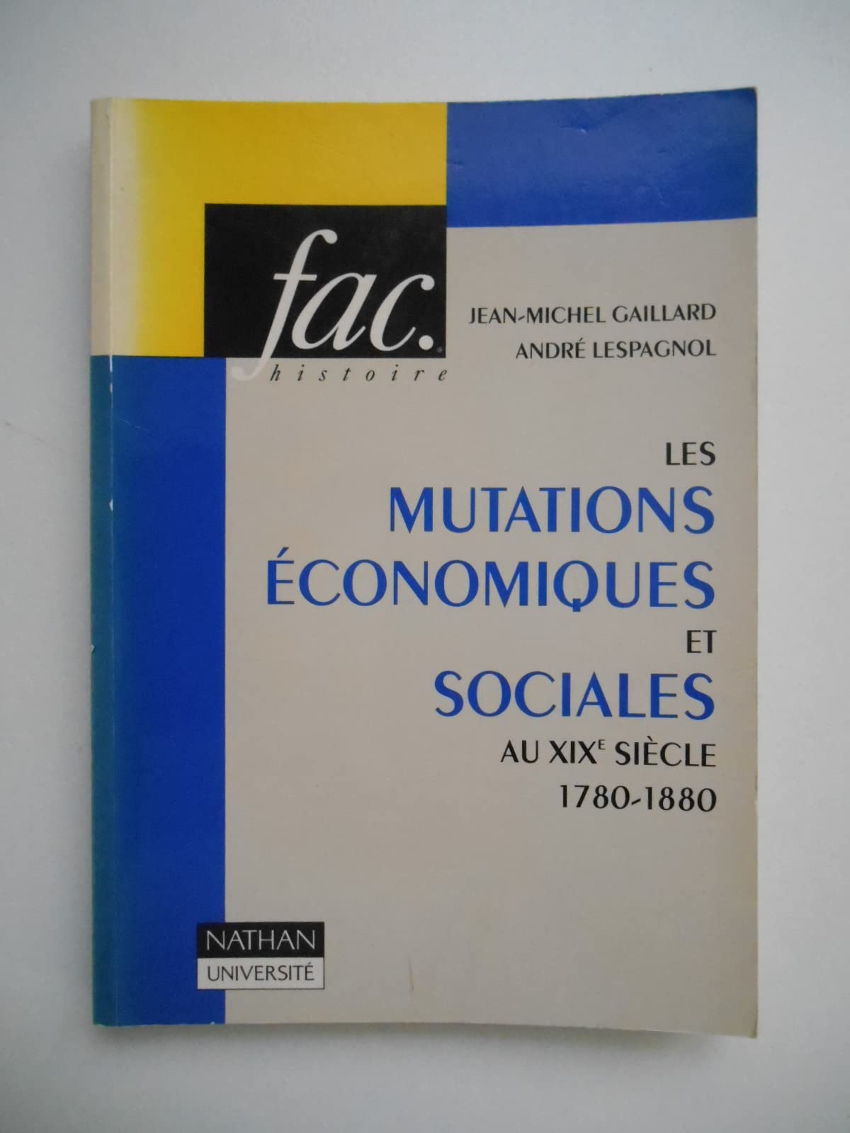 Les Mutations économiques et sociales au XIXe siècle 9782091902036
