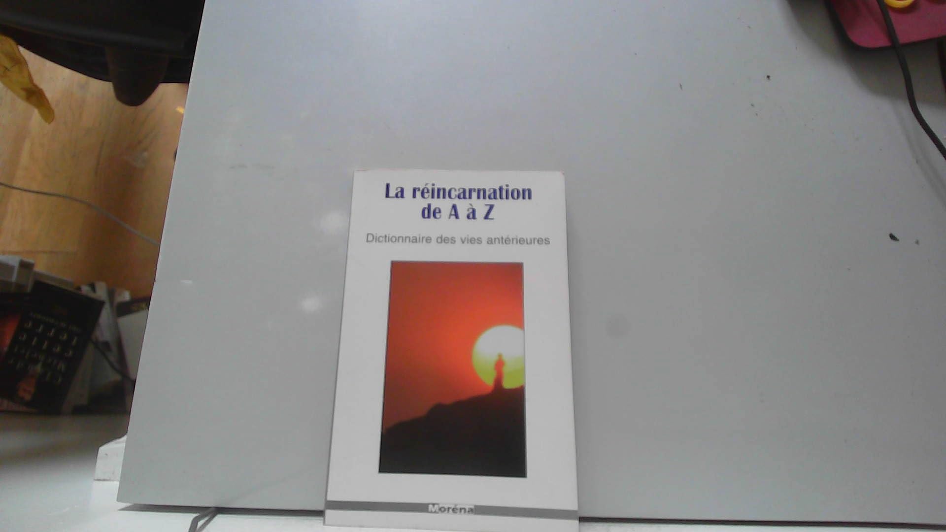 La réincarnation de A à Z : Dictionnaire des vies antérieures 9782843081552