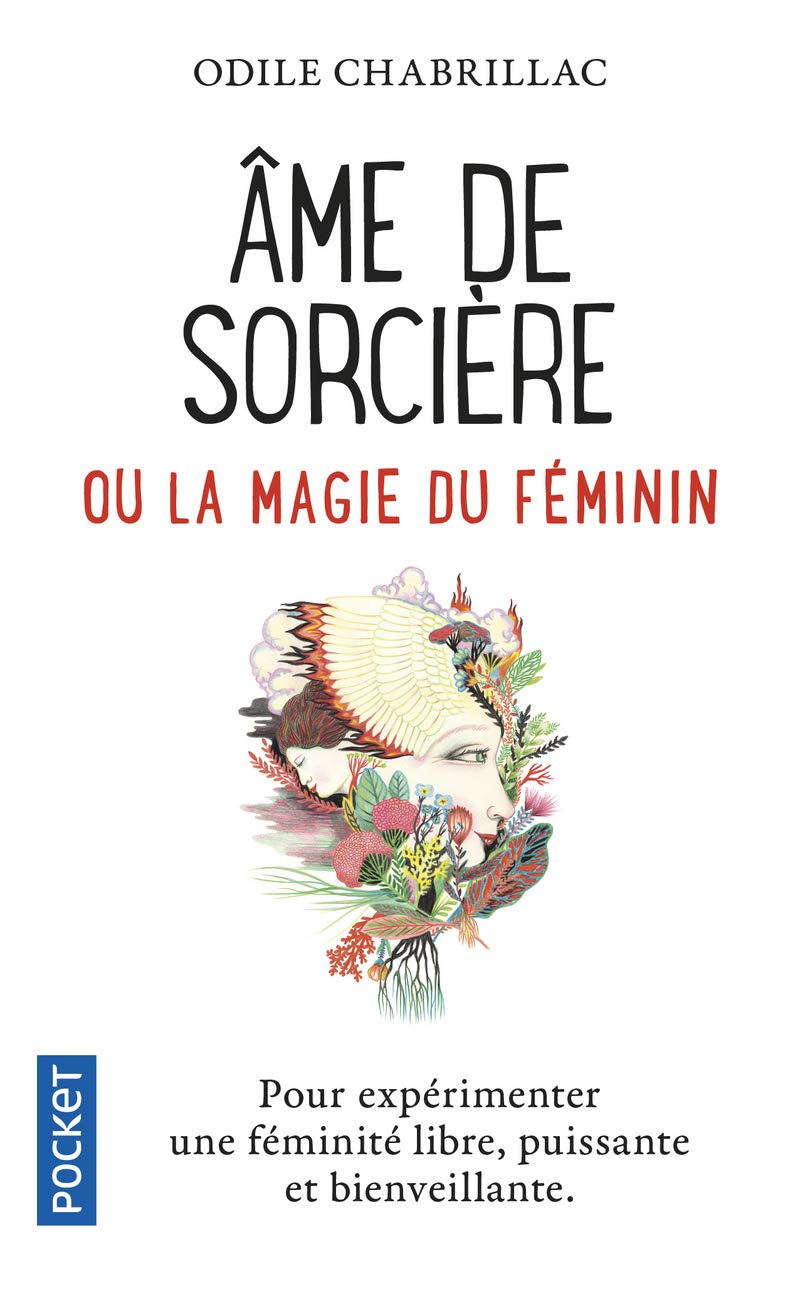 Ame de sorcière ou La magie du féminin 9782266290777
