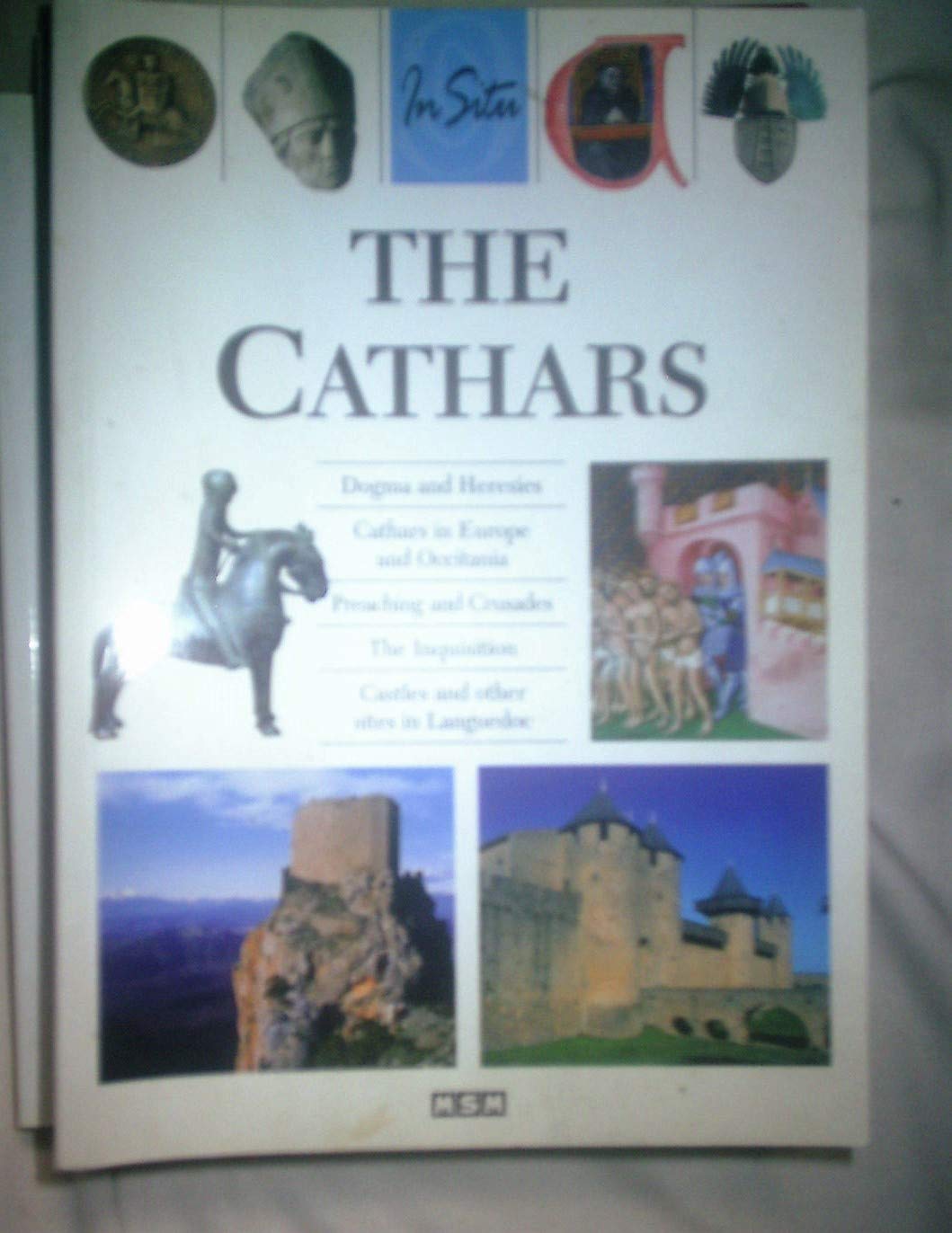 The cathars (in situ) 9782350800295