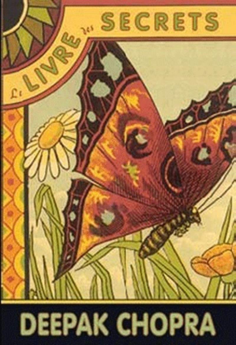 Le livre des secrets 9782844455703