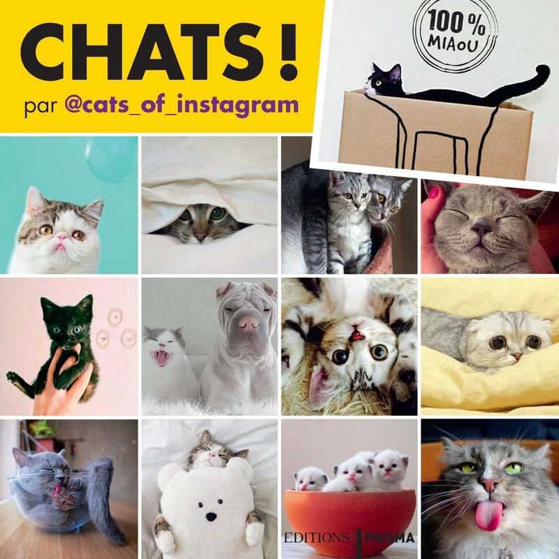 Chats d'Instagram 9782810422326
