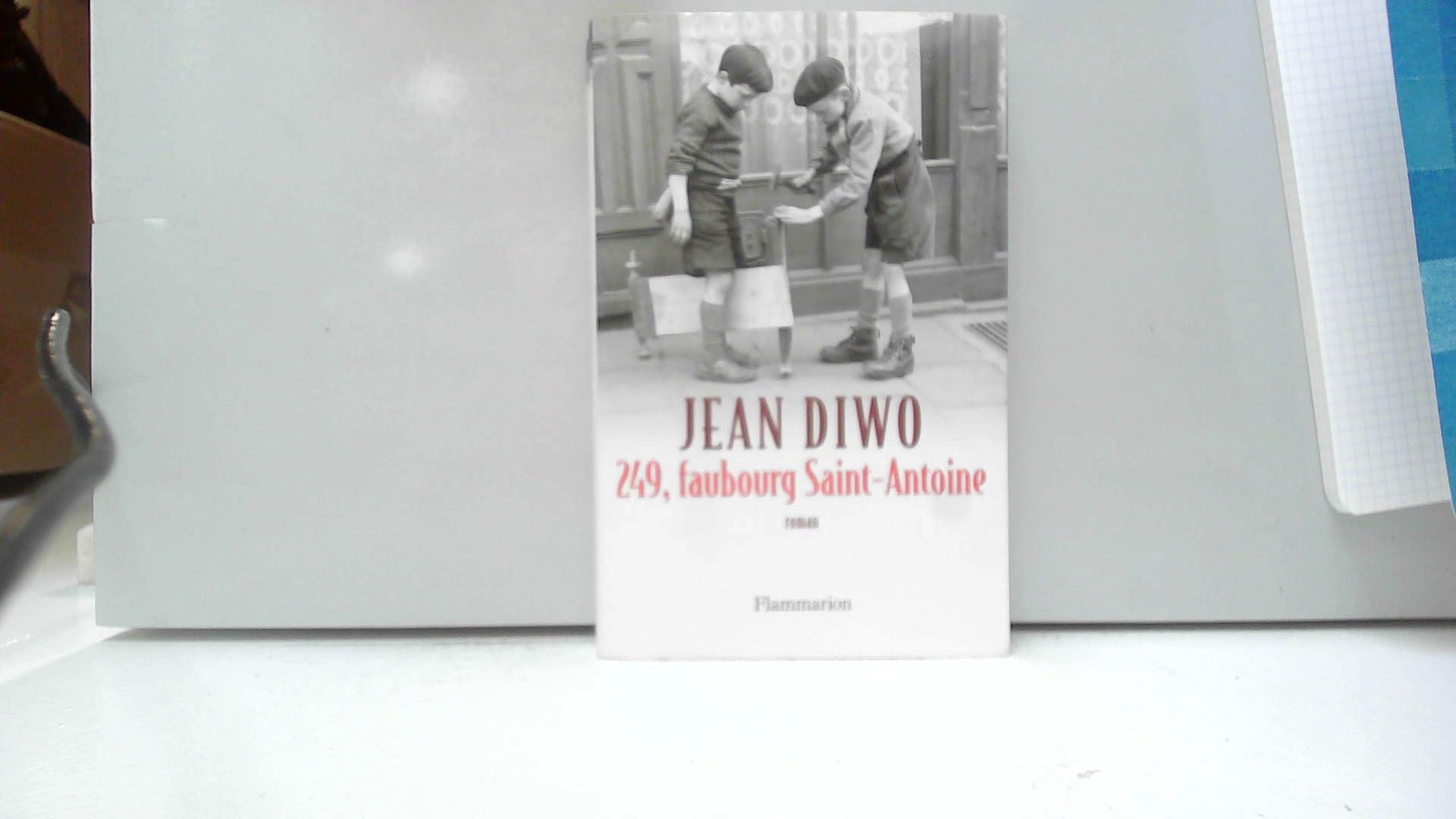 249, faubourg Saint-Antoine 9782080690449