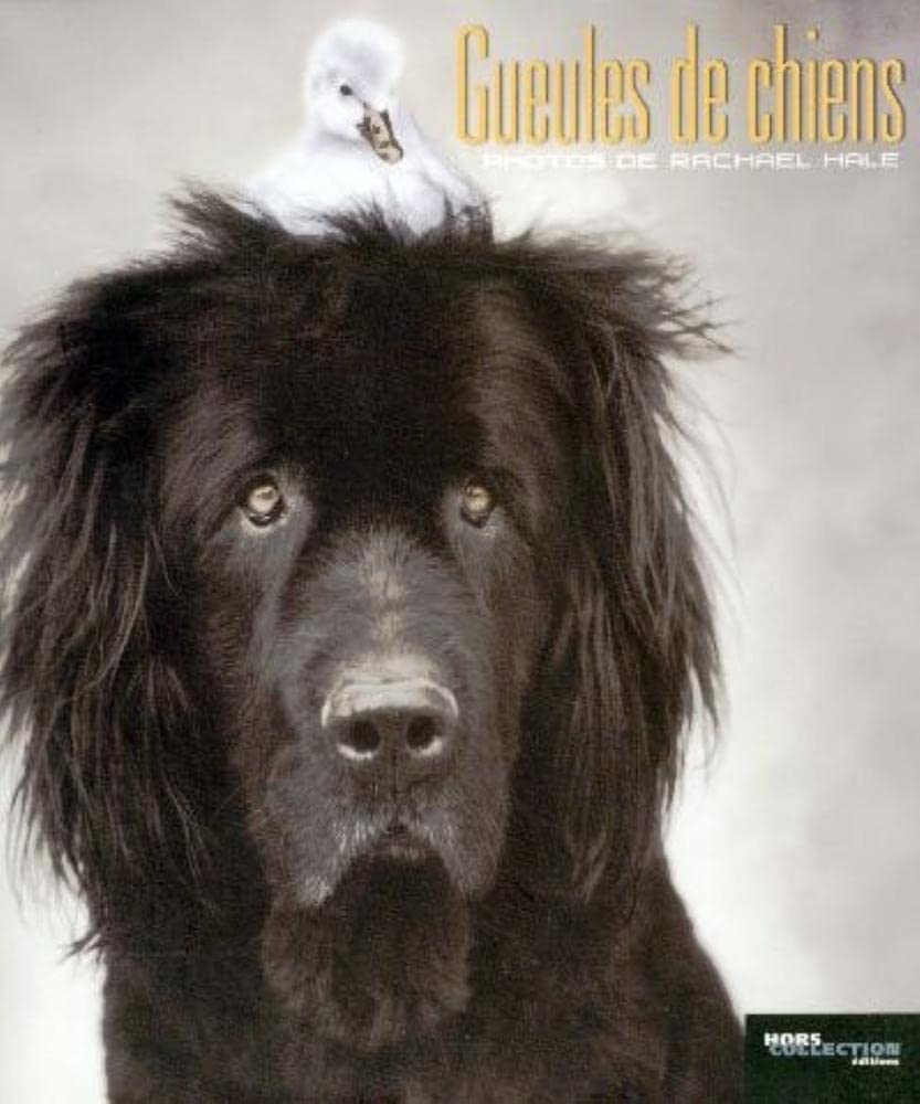 Gueules de chiens (Ancien prix Editeur: 13 Euros ) 9782258070080