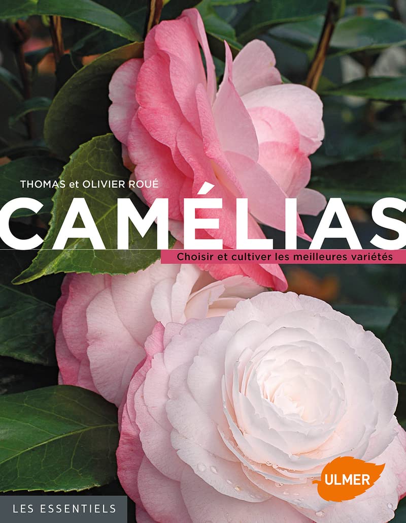 Camélias. Choisir et cultiver les meilleures variétés 9782841385843