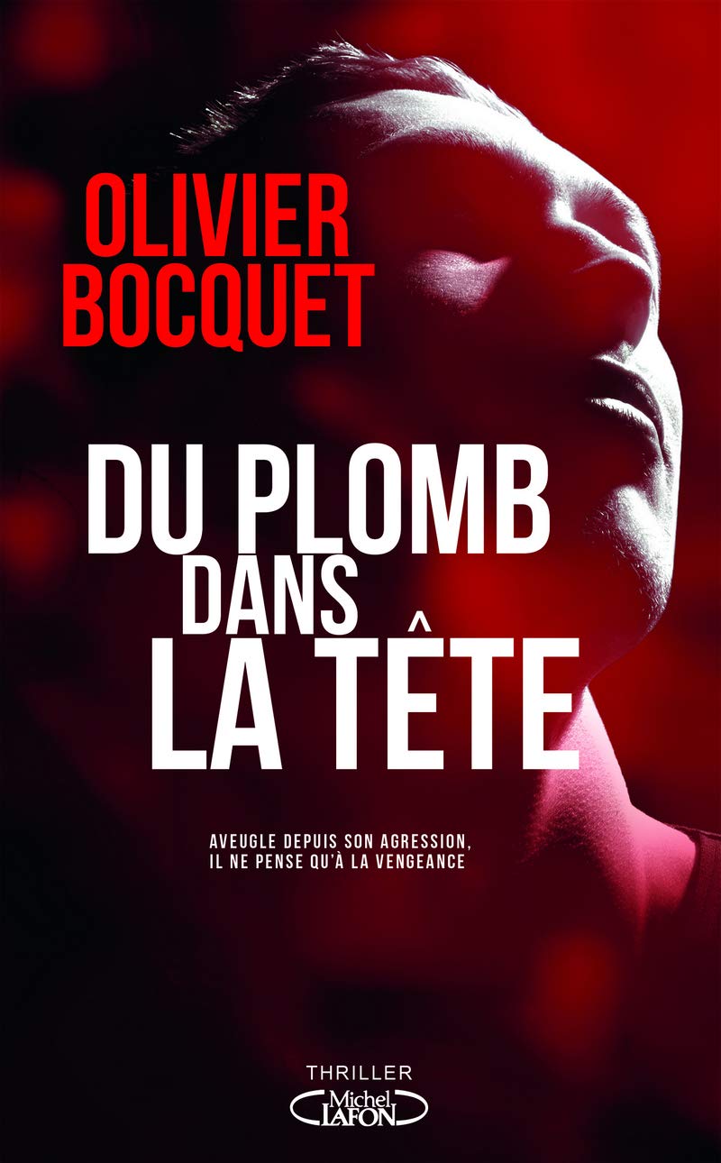 Du plomb dans la tête 9782749940519