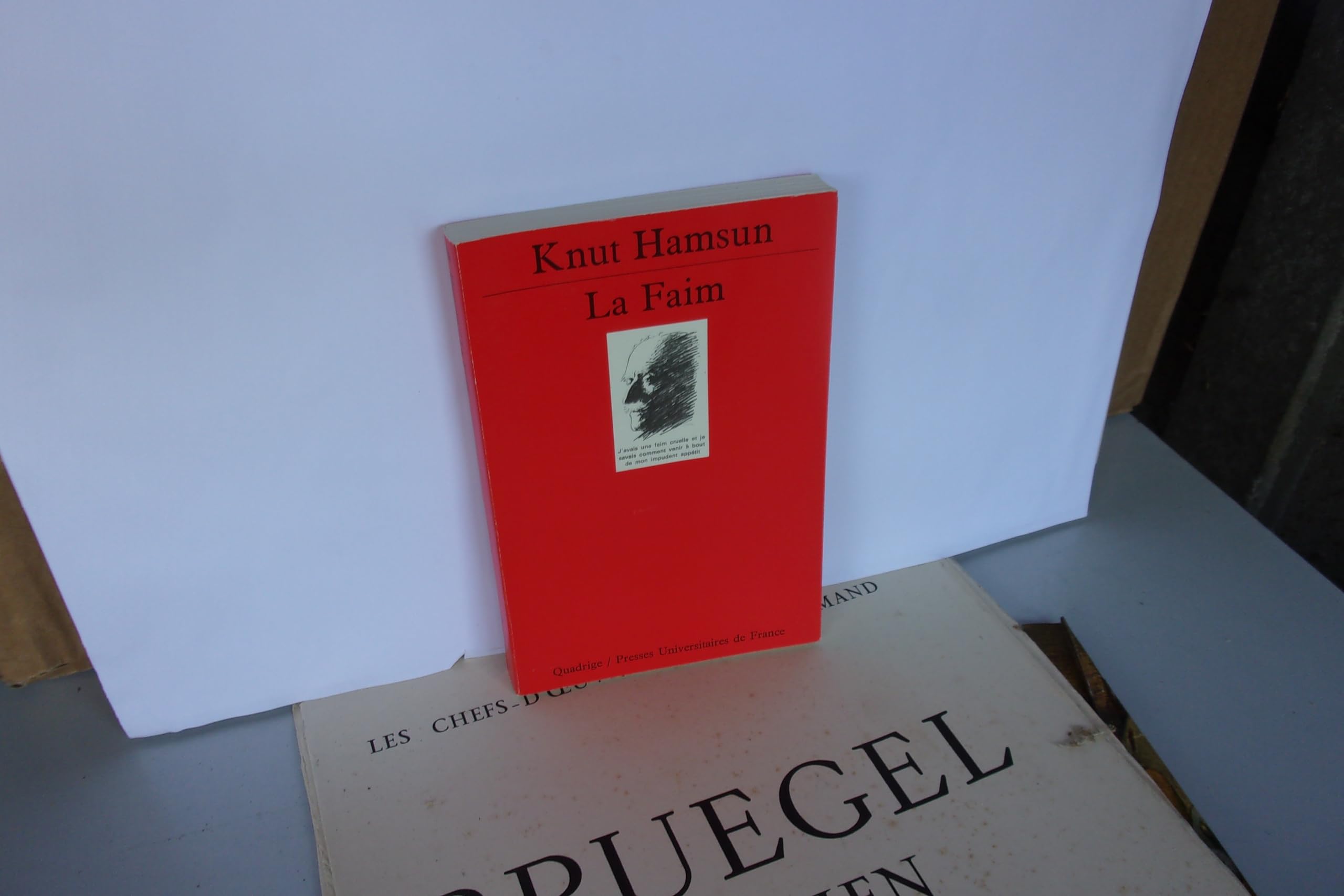 La faim 9782130393153