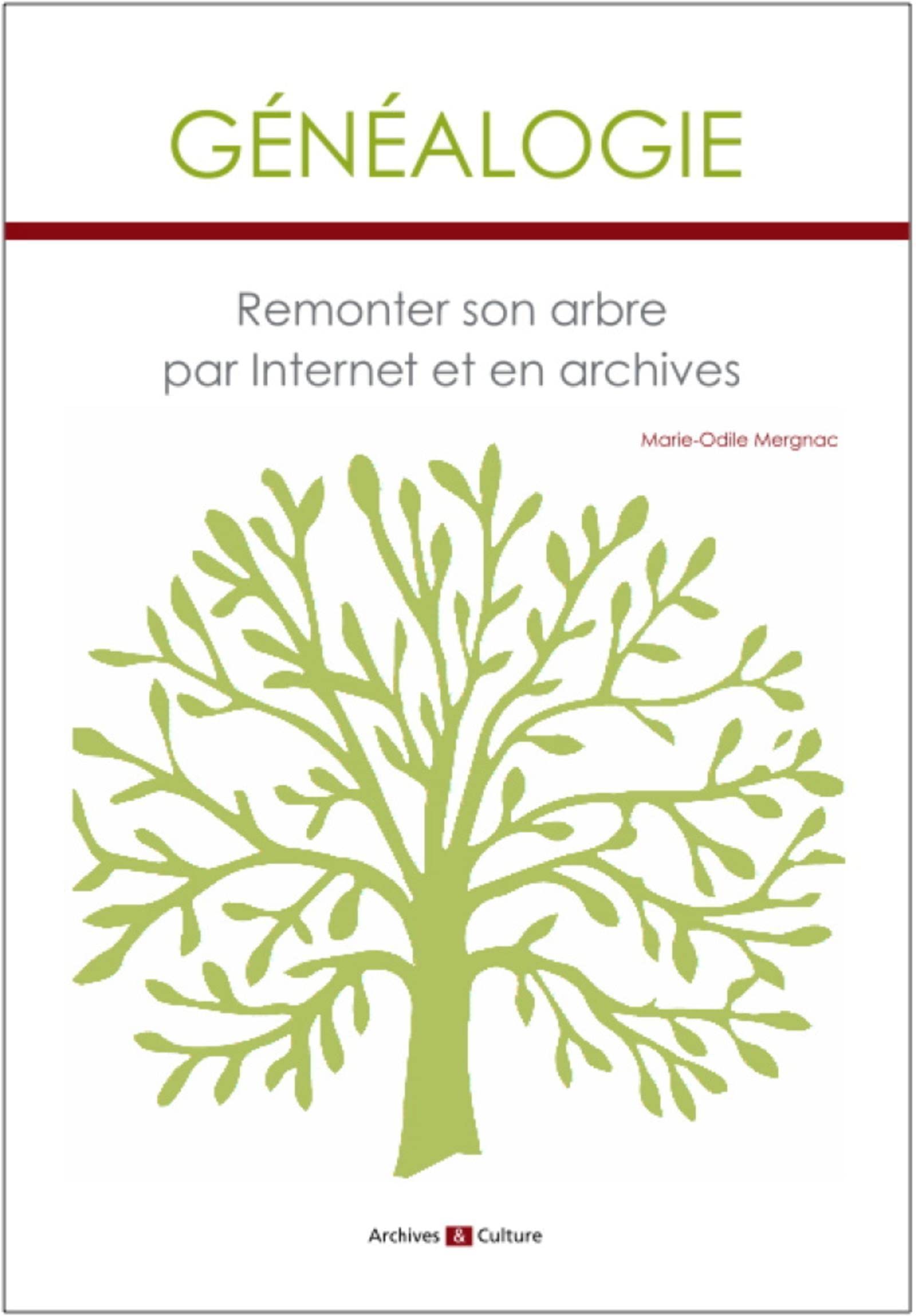 Généalogie : Remonter son arbre par internet et en archives: Remonter son arbre par internet et en archives 9782350773735