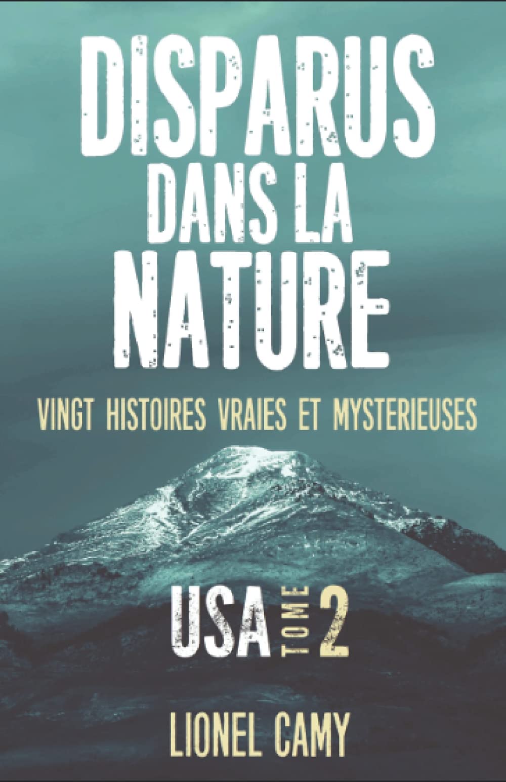 DISPARUS DANS LA NATURE : Vingt histoires vraies et mystérieuses (USA) - Tome 2 9782955194362