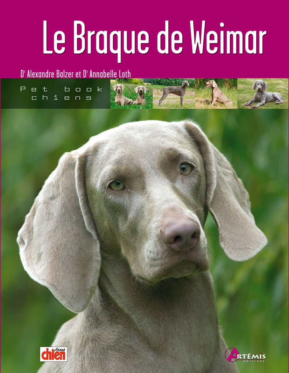 Le braque de Weimar 9782844166081