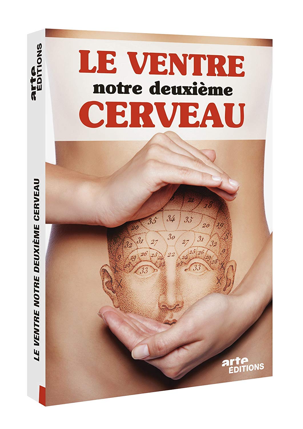 Le Ventre, notre deuxième cerveau 3453277205901