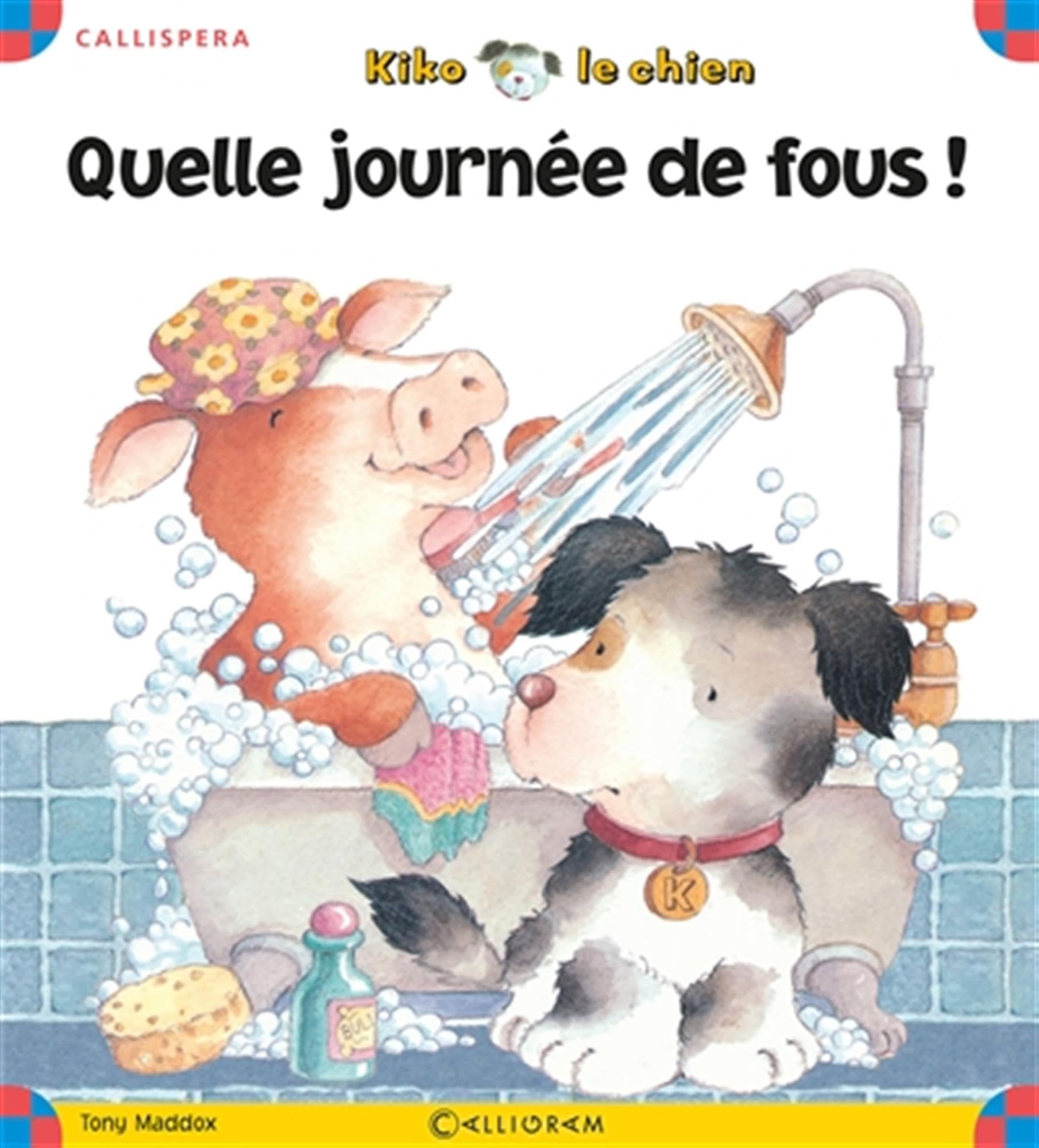 Quelle journée de fous ! 9782884804356