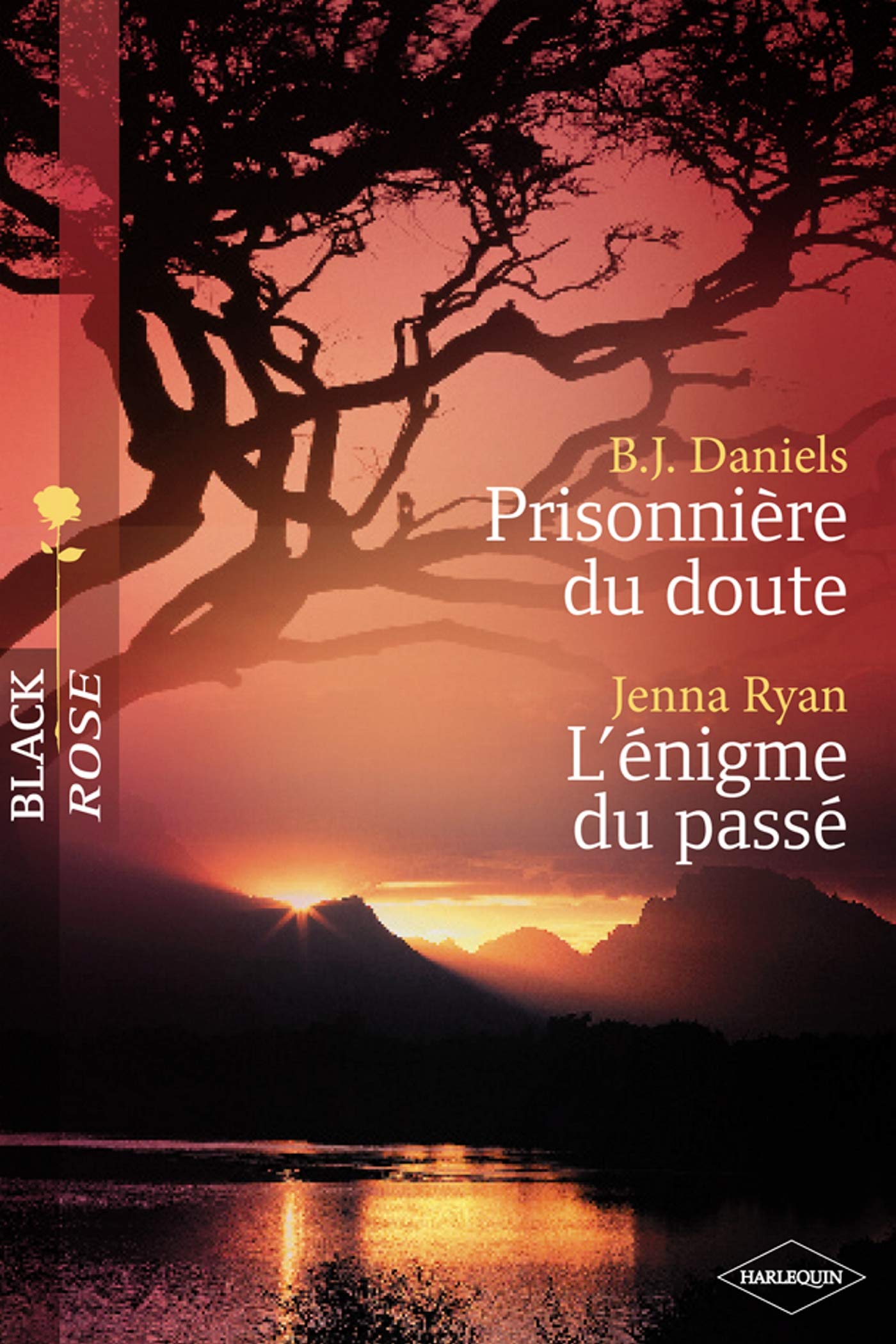 Prisonnière du doute ; L'énigme du passé 9782280844192