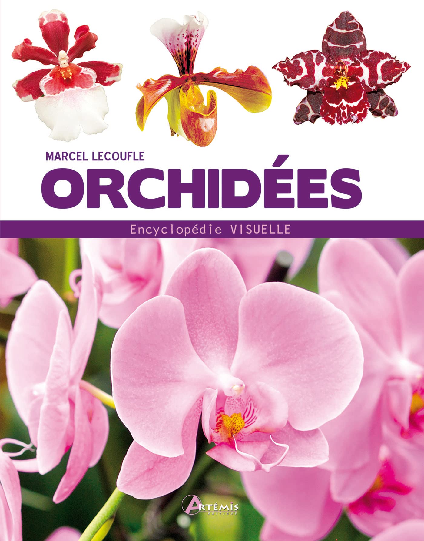 Orchidées 9782816005059