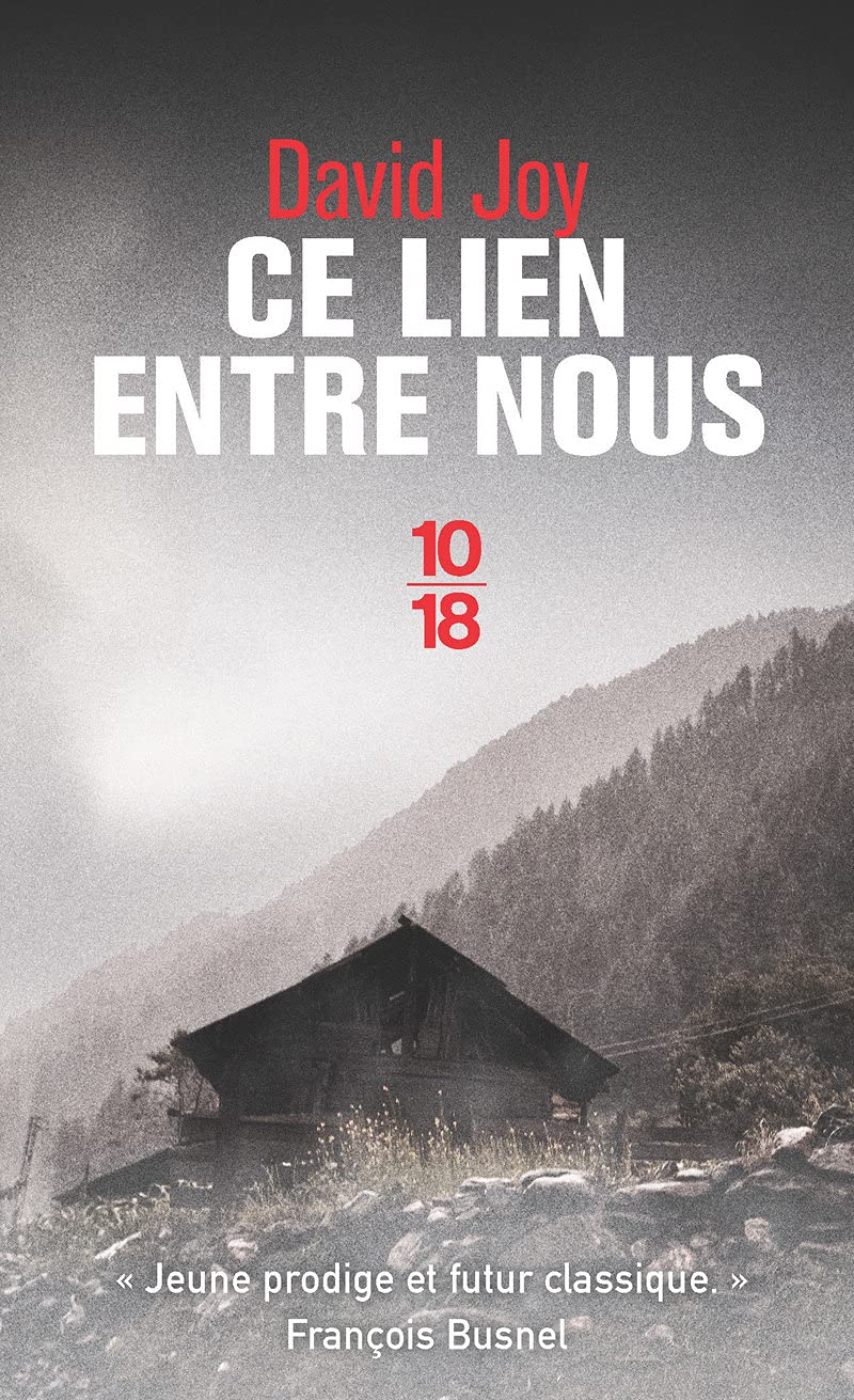 Ce lien entre nous 9782264073709