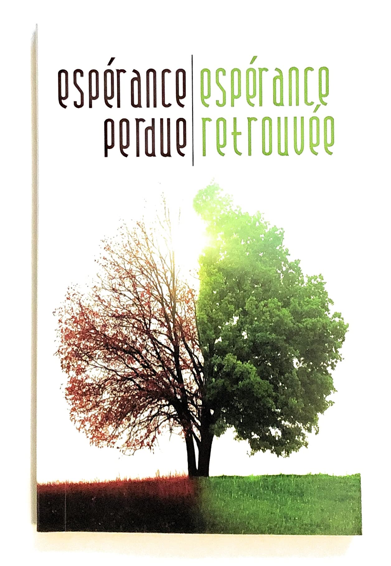 Espérance perdue Espérance retrouvée 9781611616293