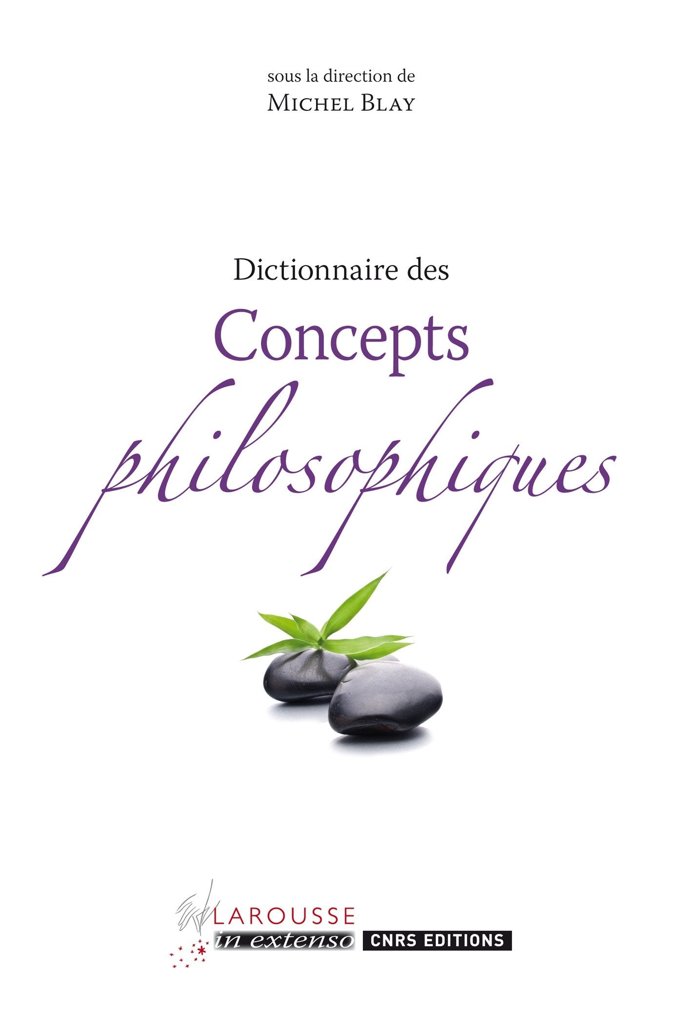 Dictionnaire des concepts philosophiques 9782035850072