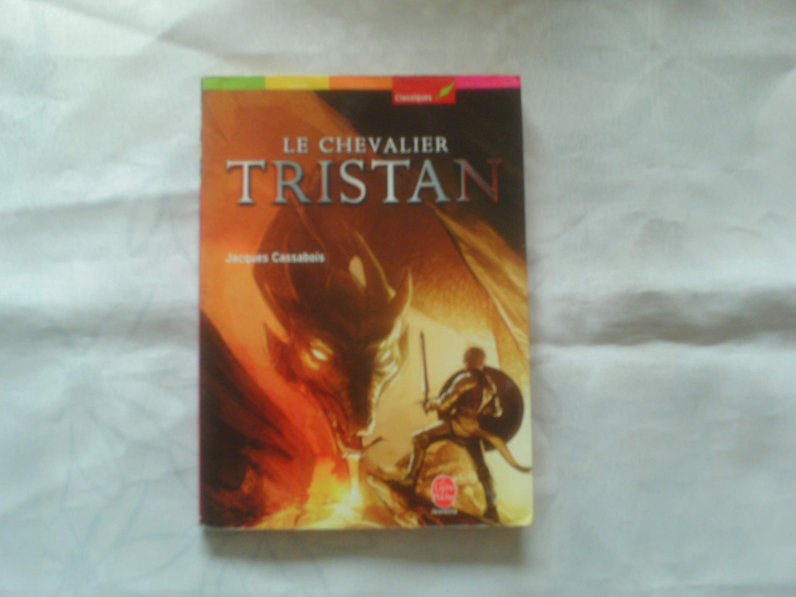 Le chevalier Tristan 9782013223584