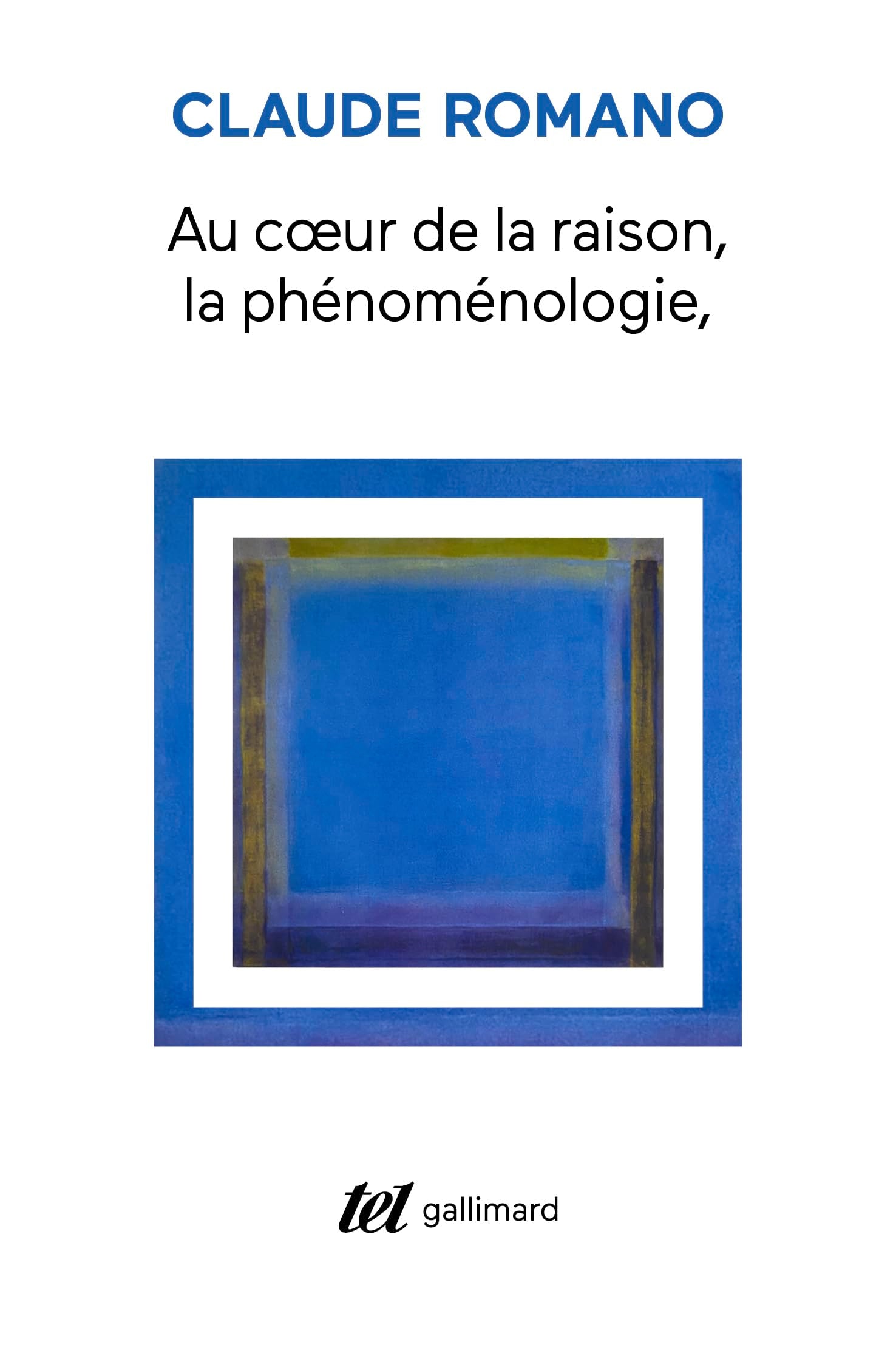 Au coeur de la raison: La phénoménologie et son avenir 9782073121066