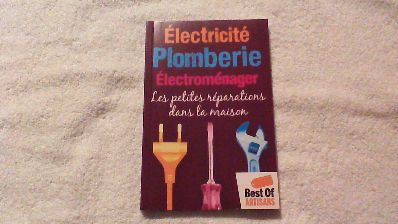 ELECTRICITE PLOMBERIE ELECTROMENAGER - LES PETITES REPARATIONS DANS LA MAISON 9782298054798