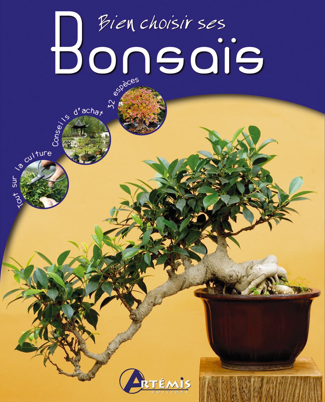 Bien choisir ses Bonsaïs 9782844168740