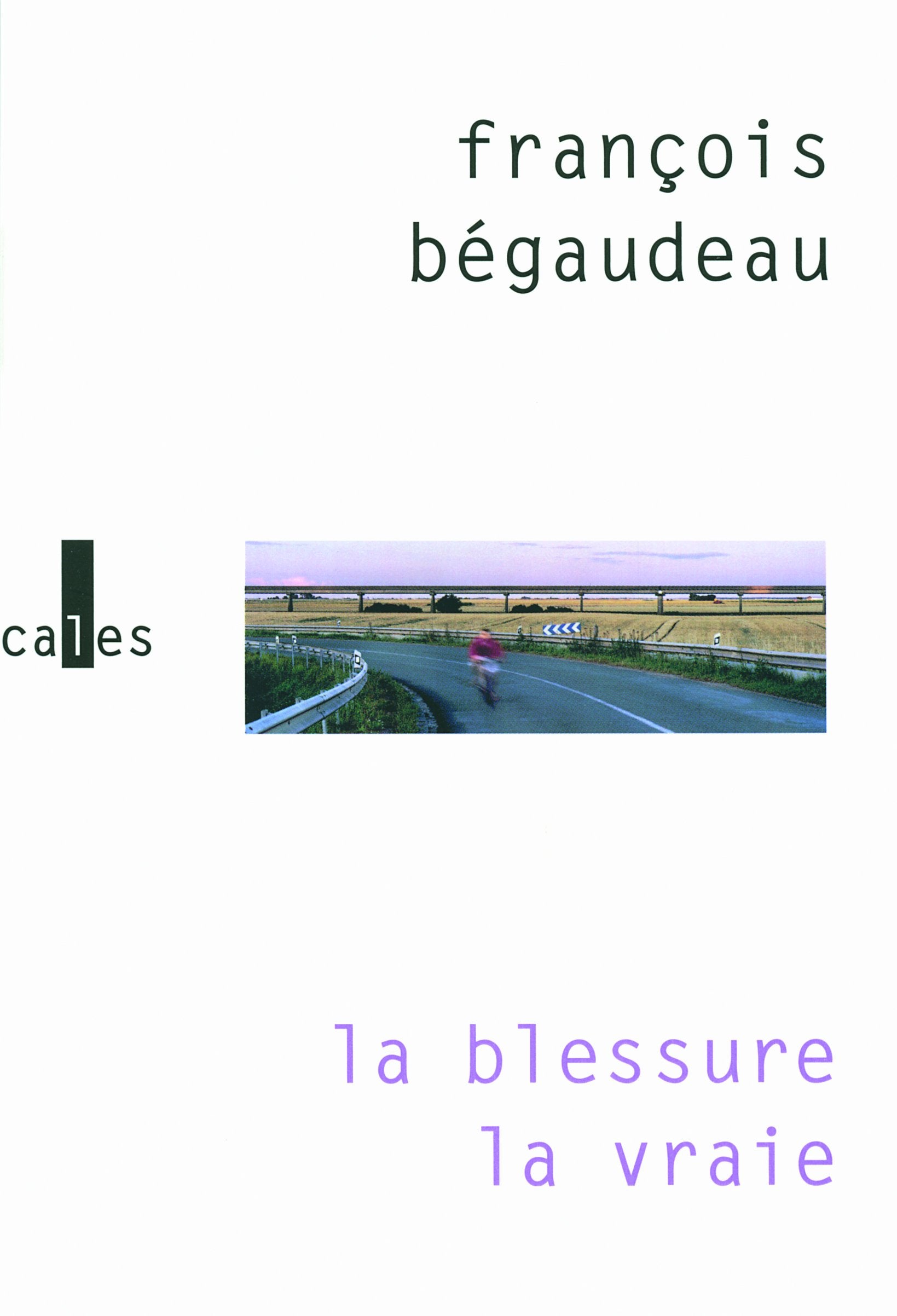 La blessure la vraie 9782070131075