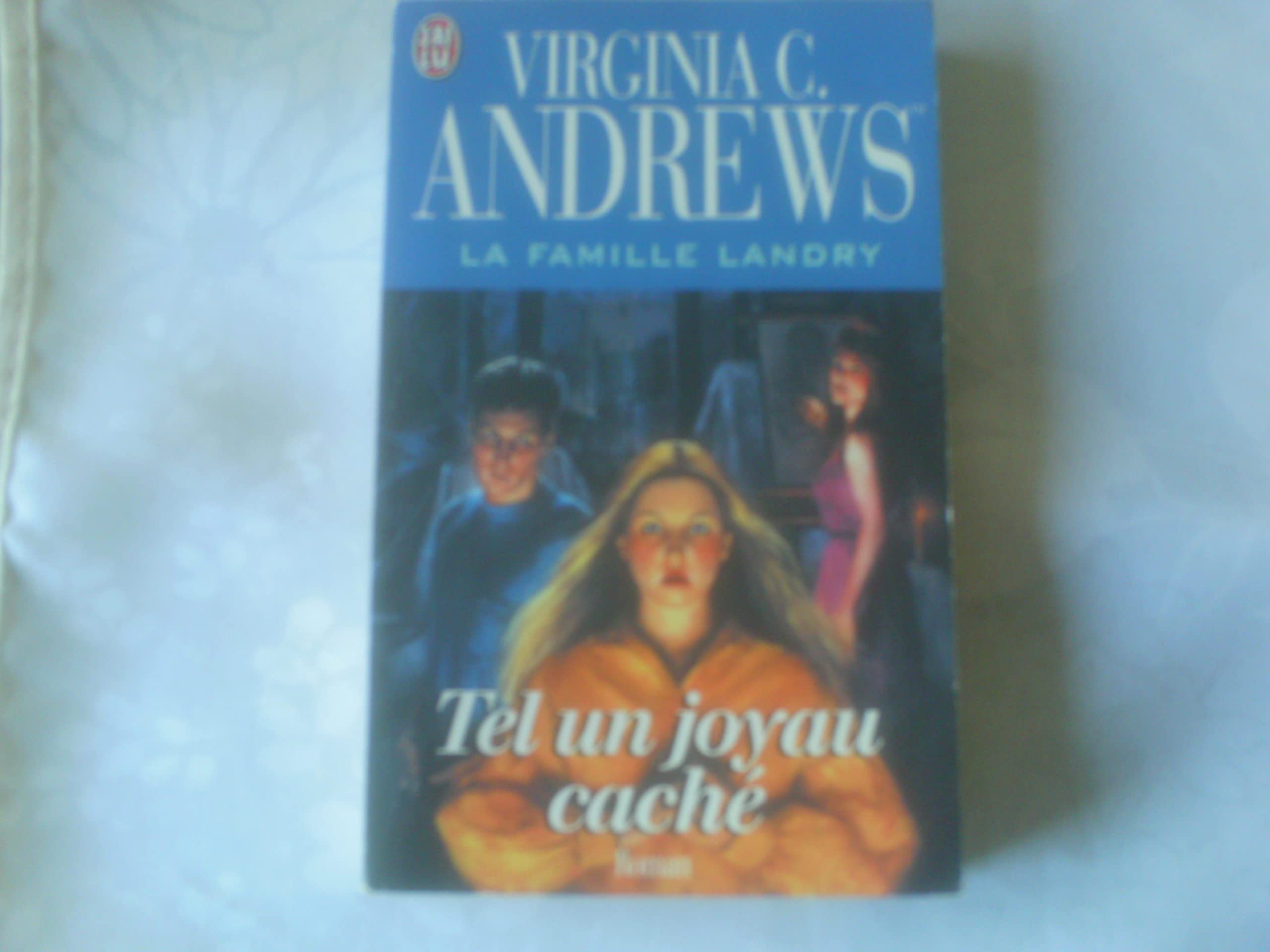 La Famille Landry ; tel un joyau caché 9782290146279