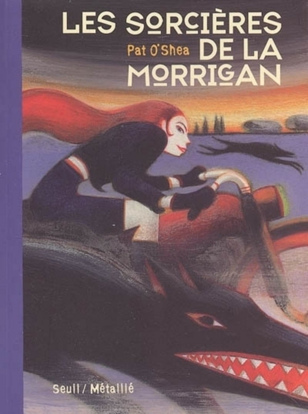 Les sorcières de la Morrigan 9782020803274