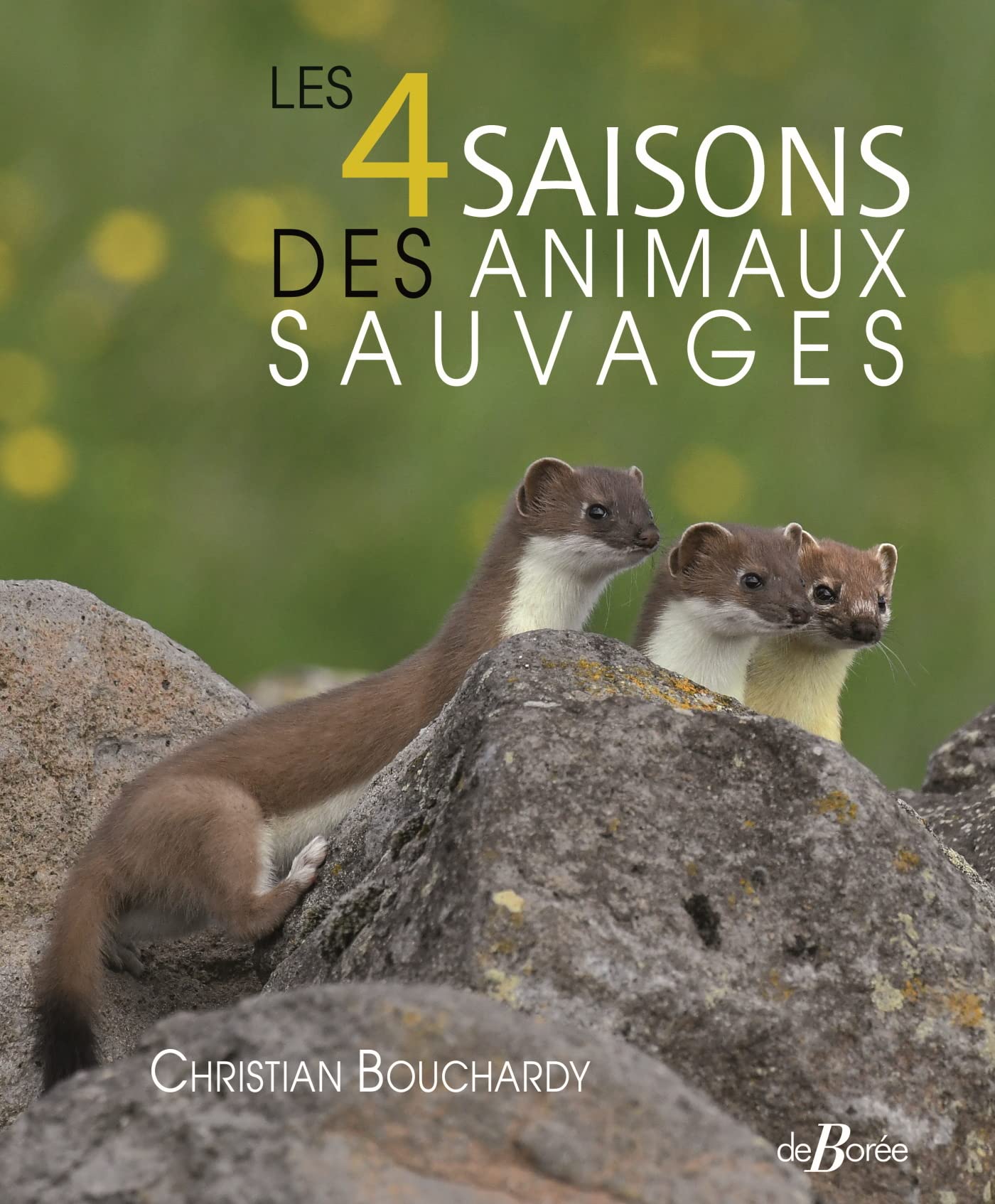 Les 4 saisons des animaux sauvages 9782812927836