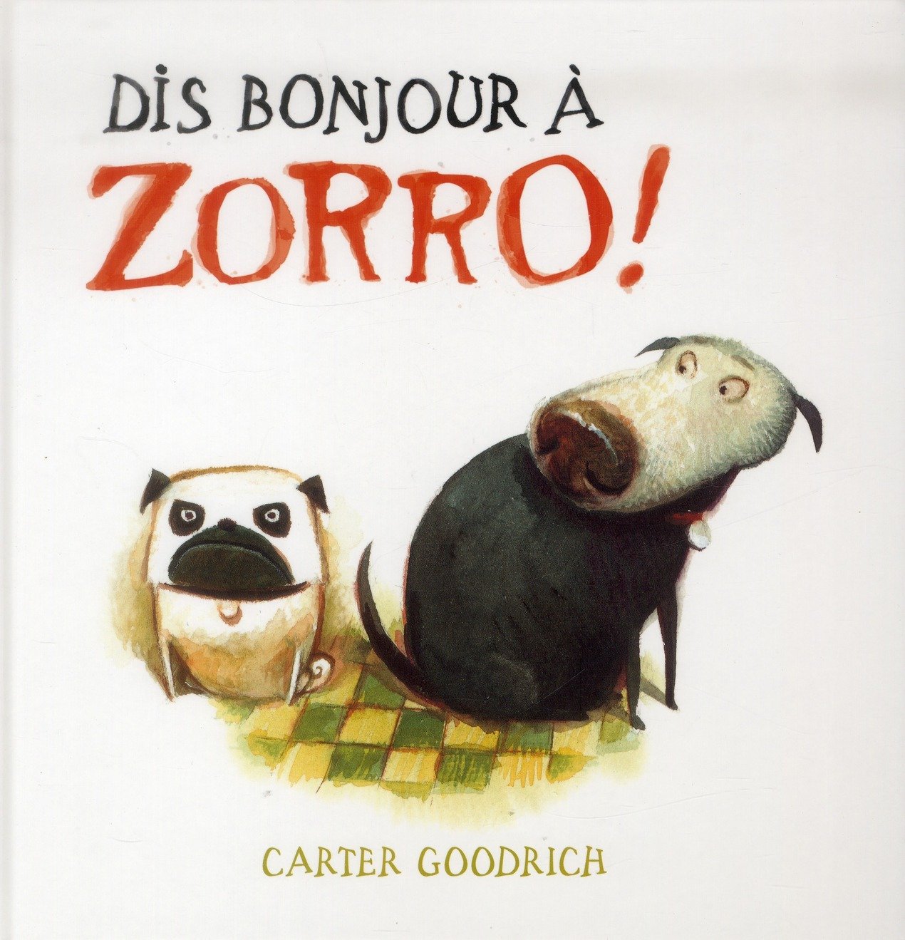 Dis bonjour à Zorro ! 9782848655819