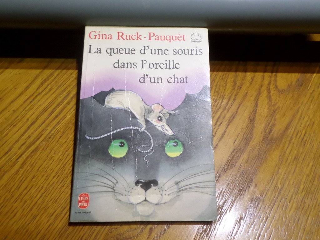 La Queue d'une souris dans l'oreille d'un chat. (suivi de) Fanny aux quatre saisons 9782253040774