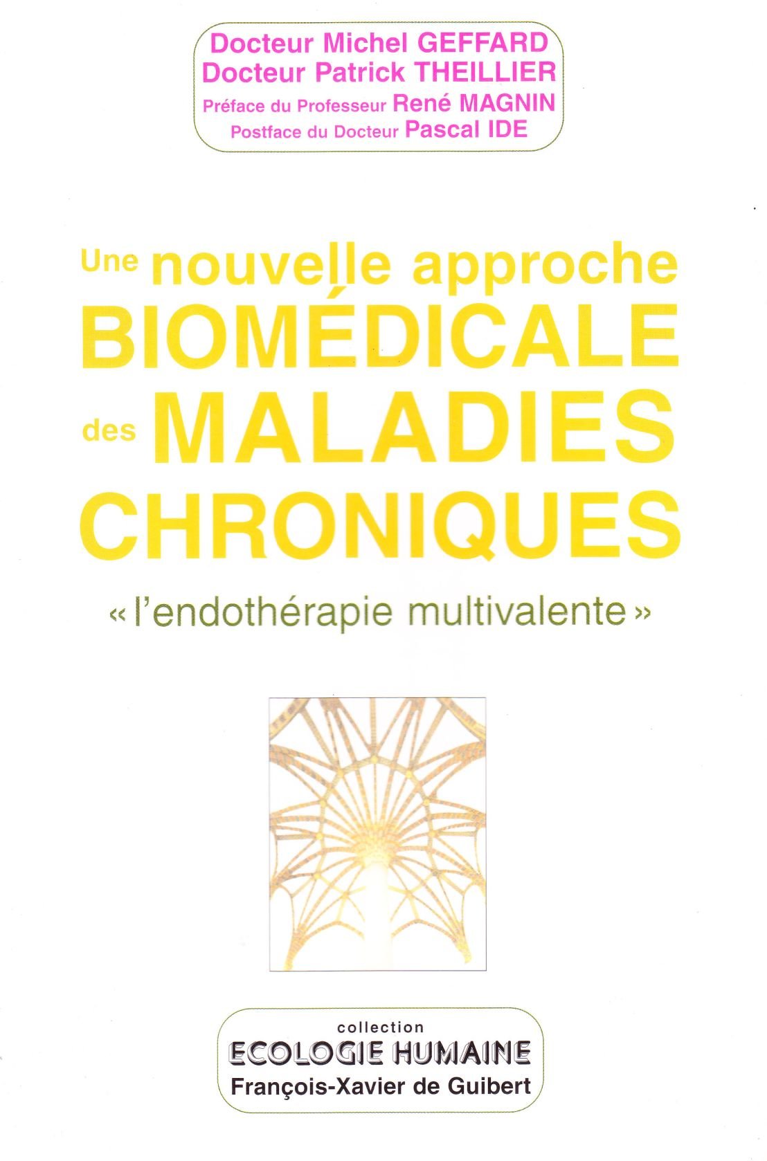 Nouvelle approche biomedicale des maladies chroniques "l'endothérapie multivalente" 9782868396976