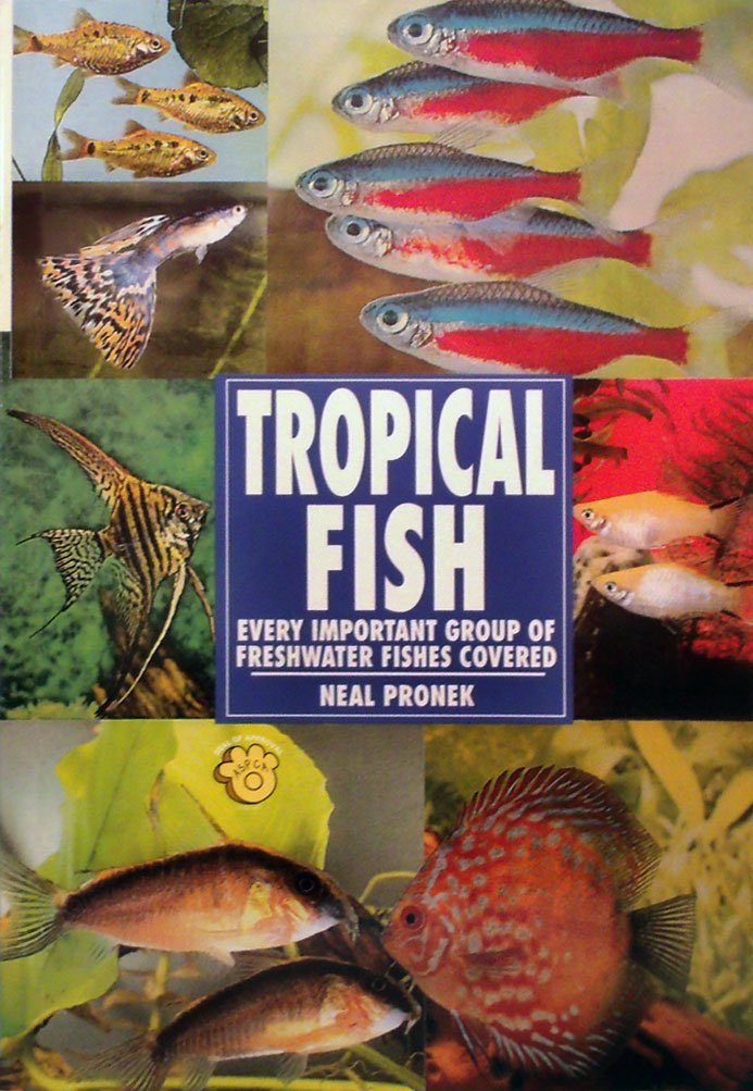 Tropical Fish 9780793803675