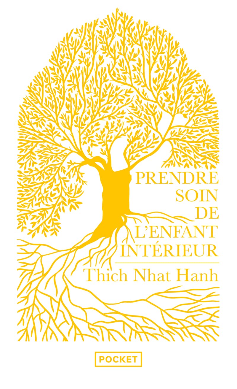 Prendre soin de l'enfant intérieur 9782266331524