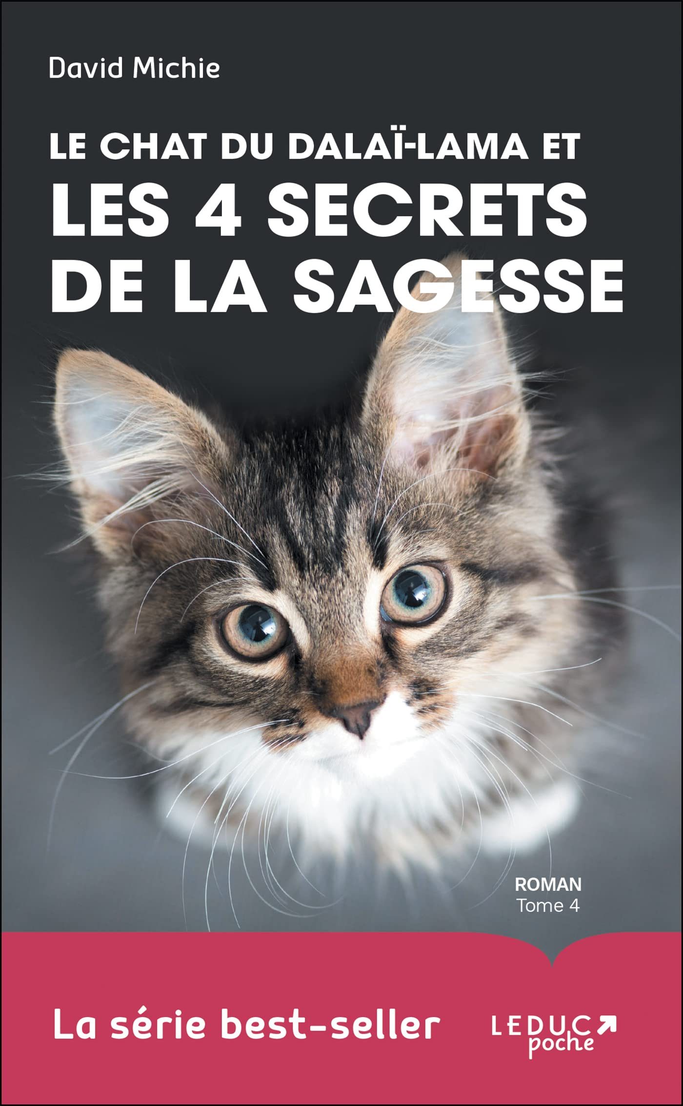 Le chat du dalaï-lama et les 4 secrets de la sagesse 9791028522452