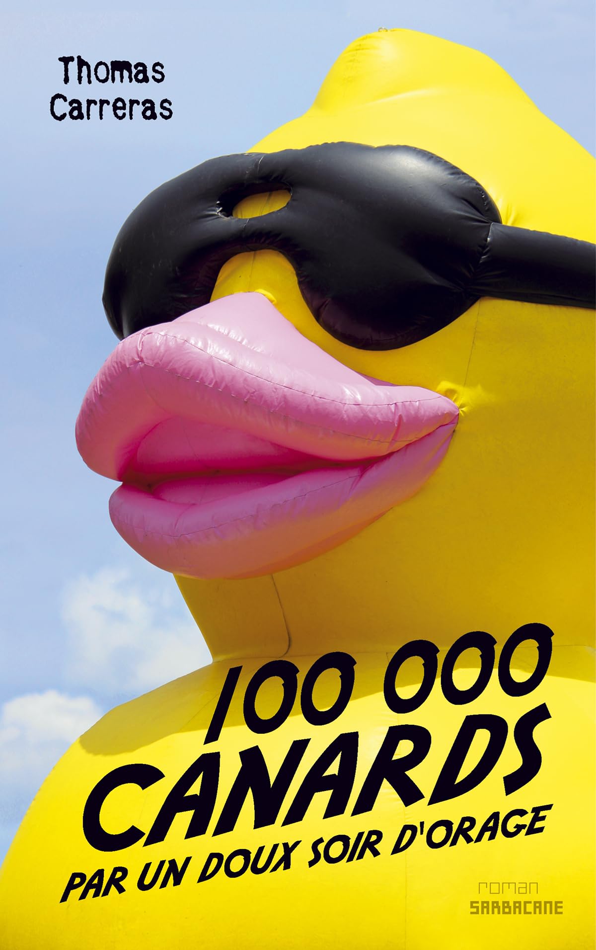 100 000 canards par un doux soir d'orage 9782848657578
