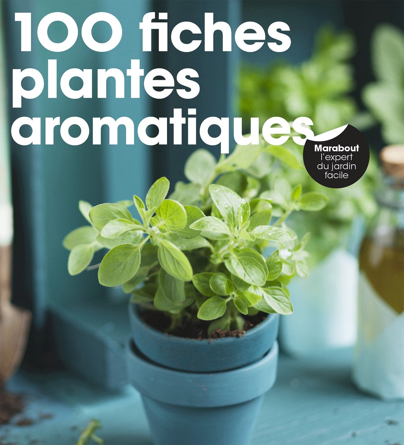 100 fiches plantes aromatiques 9782501130240