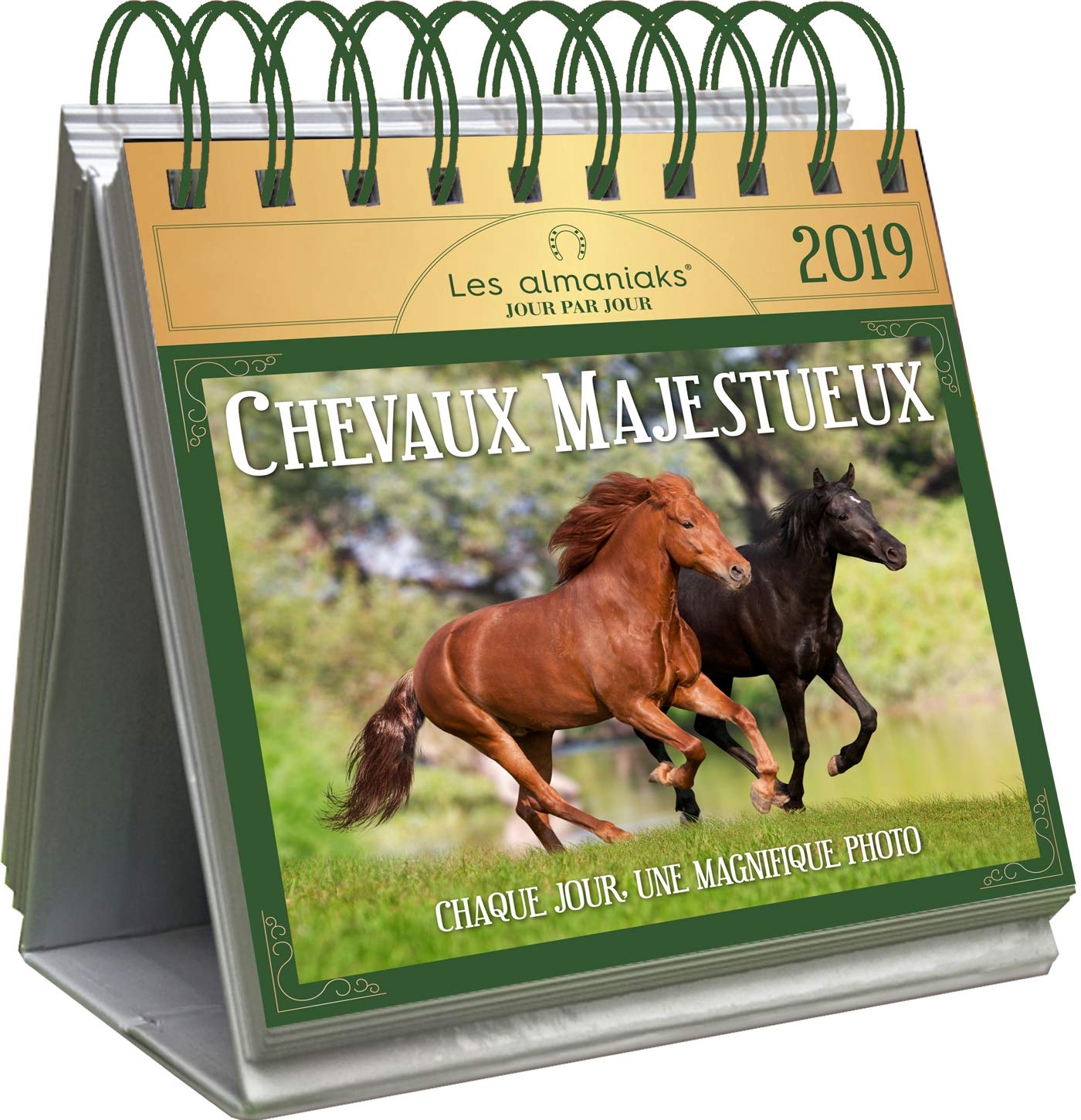 Le Grand Almaniak Chevaux majestueux 2019 9782377611027